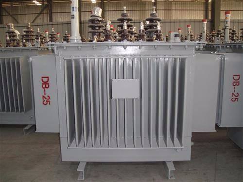 新乡S13-100KVA/10KV/0.4KV油浸式变压器